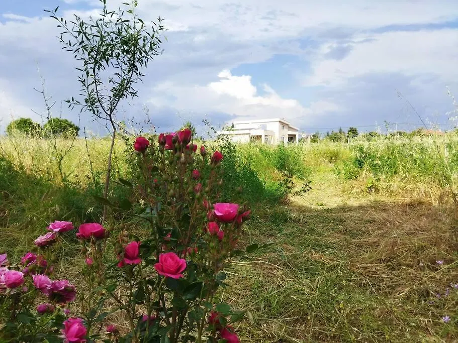 Do Nothing Land Villa Thessaloniki